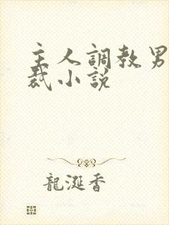 主人调教男奴总裁小说封面