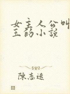 女主人公叫温如玉的小说封面