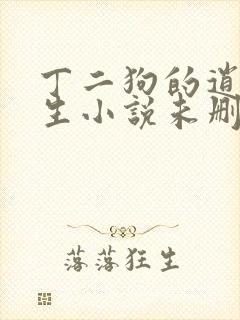 丁二狗的逍遥人生小说未删减版