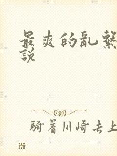 最爽的乱系列小说