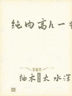 纯肉高h一对一