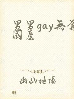 男男gay无套国产