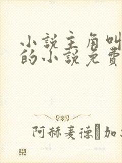 小说主角叫叶诚的小说免费阅读