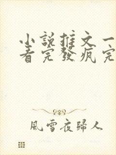小说推文一口气看完发疯完结爽文