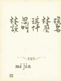 林思琪林砚书小说叫什么名字