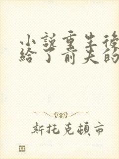 小说重生后我嫁给了前夫的死对头