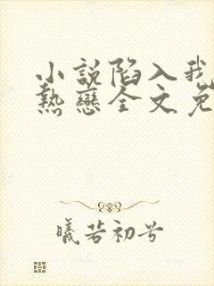 小说陷入我们的热恋全文免费阅读