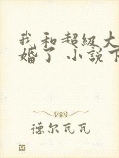 我和超级大佬隐婚了 小说下载