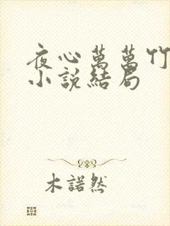 夜心万万竹先生小说结局