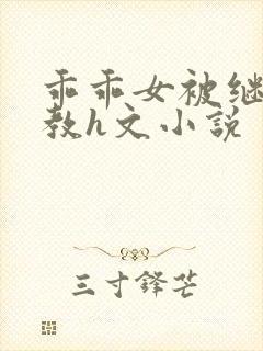 乖乖女被继夫调教h文小说封面