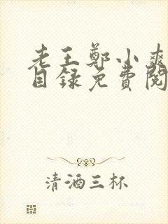 老王郑小爽全部目录免费阅读全文
