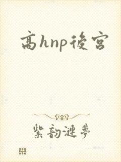 高hnp后宫