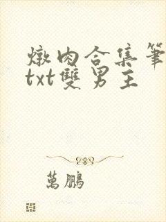 炖肉合集笔趣阁txt双男主