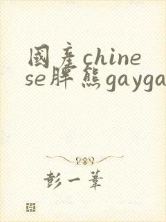 国产chinese胖熊gaygay网站