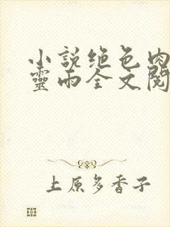 小说绝色肉欲聂灵雨全文阅读