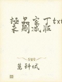 极品家丁txt未删减版