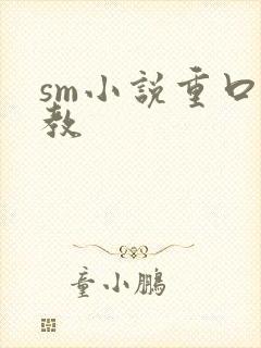 sm小说重口调教
