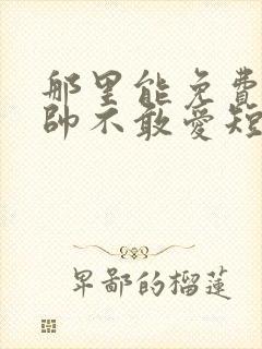 那里能免费看少帅不敢爱短剧封面