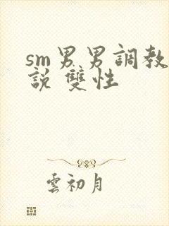 sm男男调教小说 双性封面
