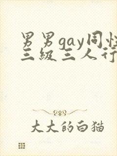 男男gay同性三级三人行