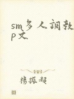 sm多人调教np文