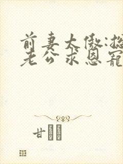 前妻太傲:总裁老公求恩宠