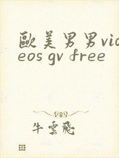 欧美男男videos gv free