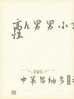 高h男男小说双性封面