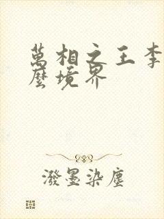 万相之王李洛什么境界