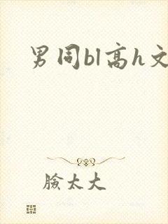 男同bl高h文封面