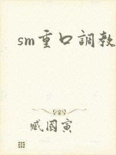 sm重口调教文封面