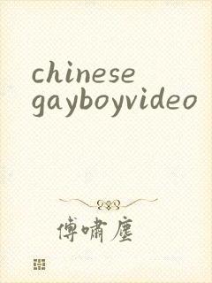 chinesegayboyvideo