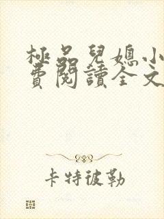 极品儿媳小说免费阅读全文无弹窗封面