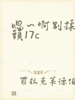 嗯～啊别揉我奶头17c