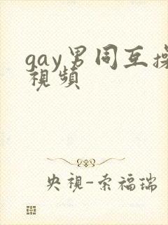 gay男同互操视频