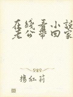 在线看小说国民老公带回家
