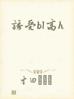 诱受bl高h