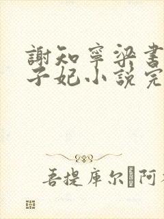 谢知宁梁书雪太子妃小说完结
