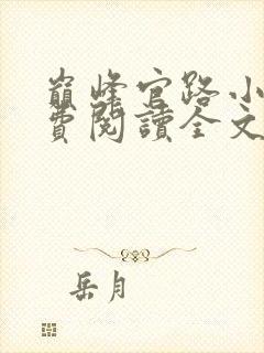 巅峰官路小说免费阅读全文无删减封面
