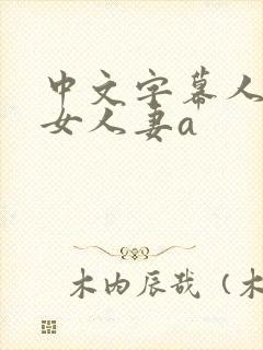 中文字幕人妻熟女人妻a封面