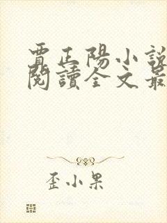 贾正阳小说免费阅读全文最新章节封面