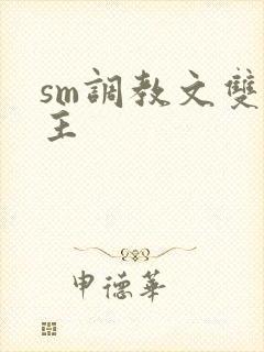 sm调教文双男主