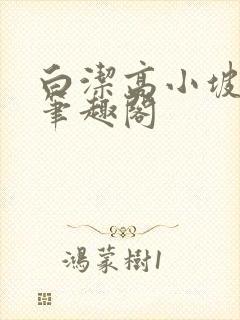 白洁高小坡高义笔趣阁封面