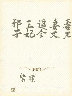 邪王追妻毒医世子妃全文免费阅读