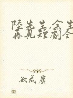 陆先生,余生不再见短剧全集