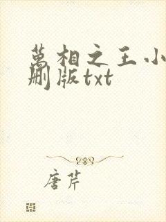 万相之王小说未删版txt