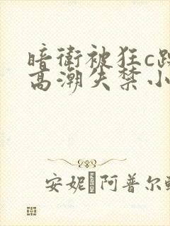 暗卫被狂c躁到高潮失禁小说