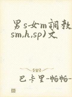 男s女m调教(sm,h,sp)文