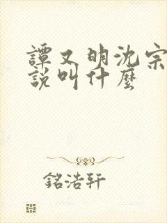 谭又明沈宗年小说叫什么