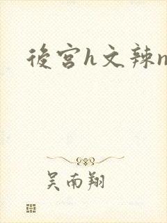 后宫h文辣np